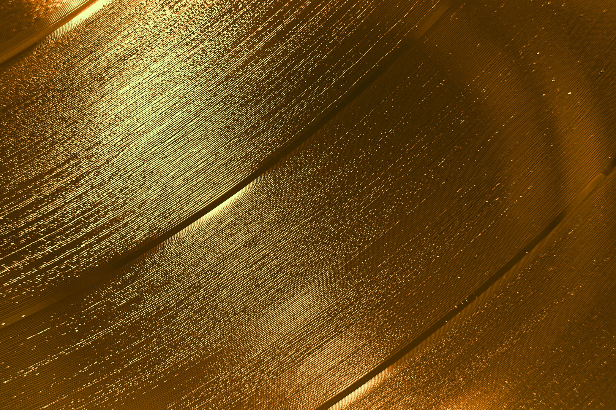 Metallic gold shiny vinyl record background textures